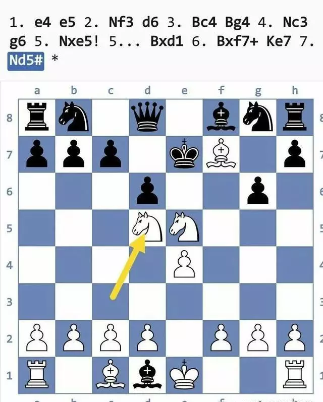 国际象棋陷阱大全(12)