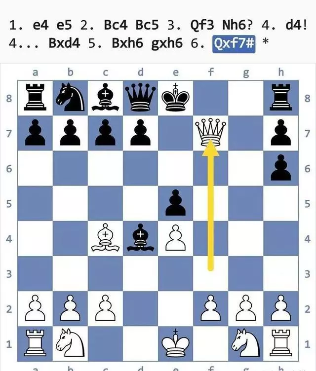 国际象棋陷阱大全(14)