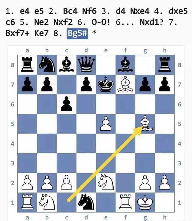 国际象棋陷阱大全(19)