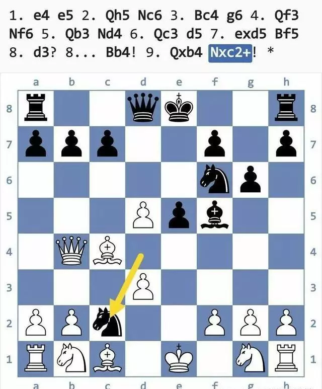 国际象棋陷阱大全(23)