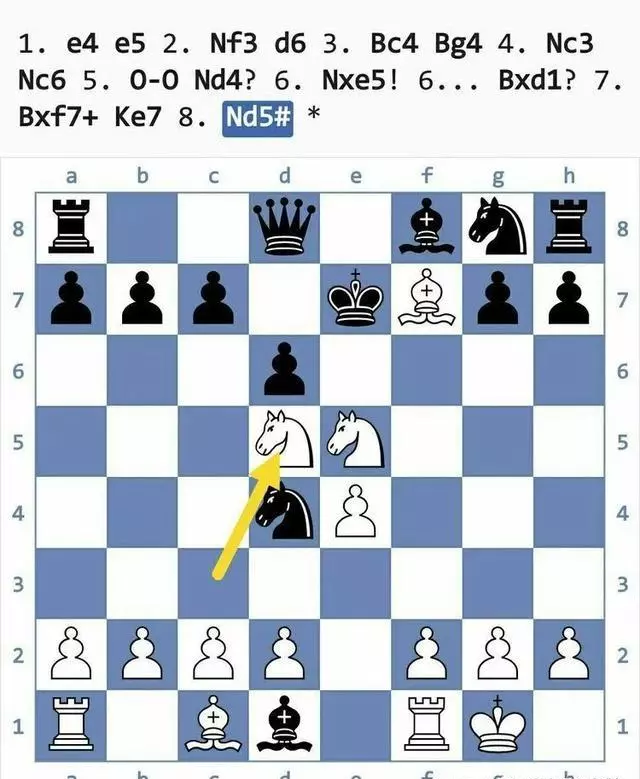 国际象棋陷阱大全(27)