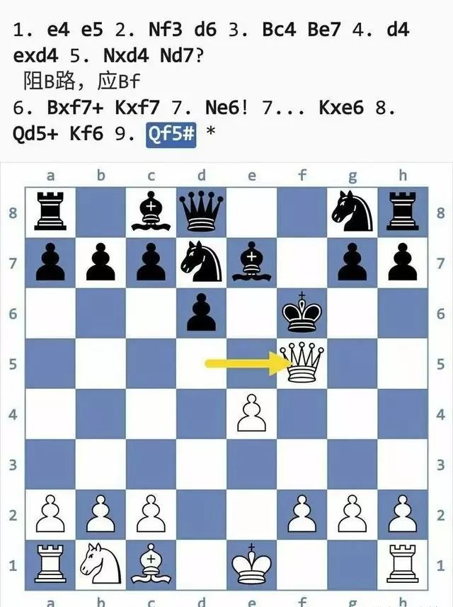 国际象棋陷阱大全(29)