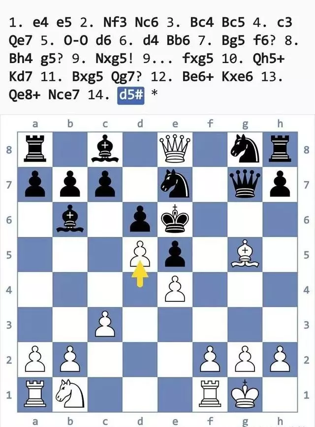 国际象棋陷阱大全(46)