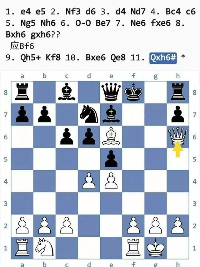 国际象棋陷阱大全(51)