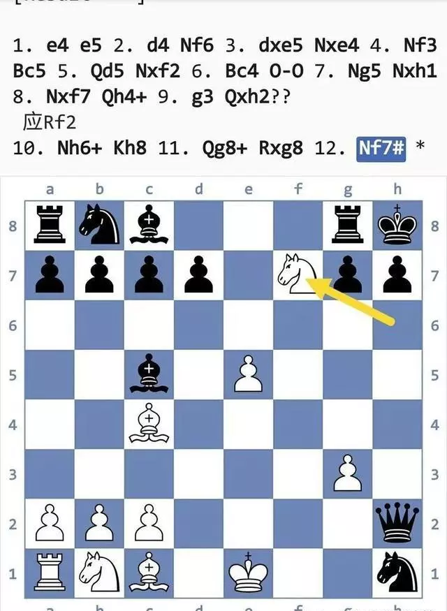 国际象棋陷阱大全(61)