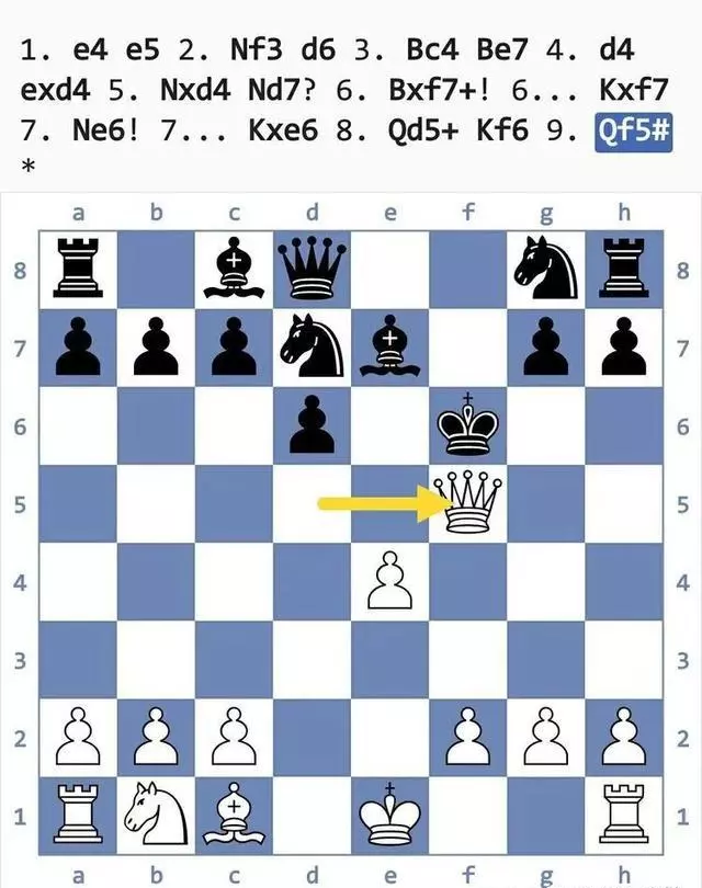 国际象棋陷阱大全(67)