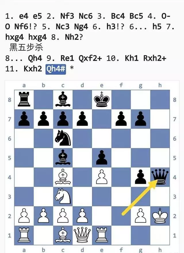 国际象棋陷阱大全(80)