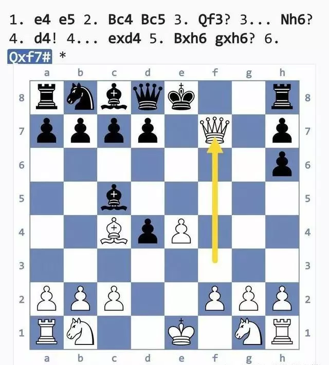 国际象棋陷阱大全(9)