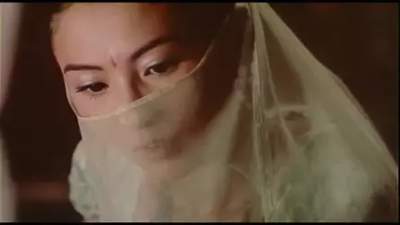 象棋女子大师全部名单(4)