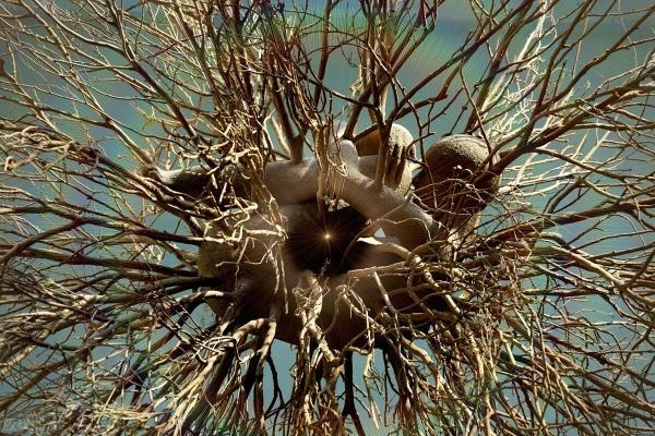 输就是赢 赢就是输如何解释