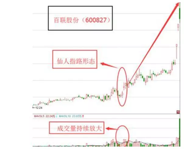 股票天线宝宝 与仙人指路哪个好(8)