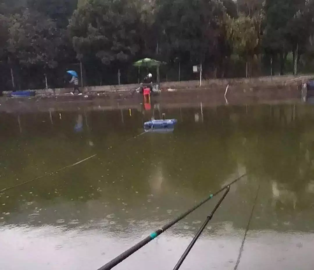 象棋野路子与正规棋的区别(1)