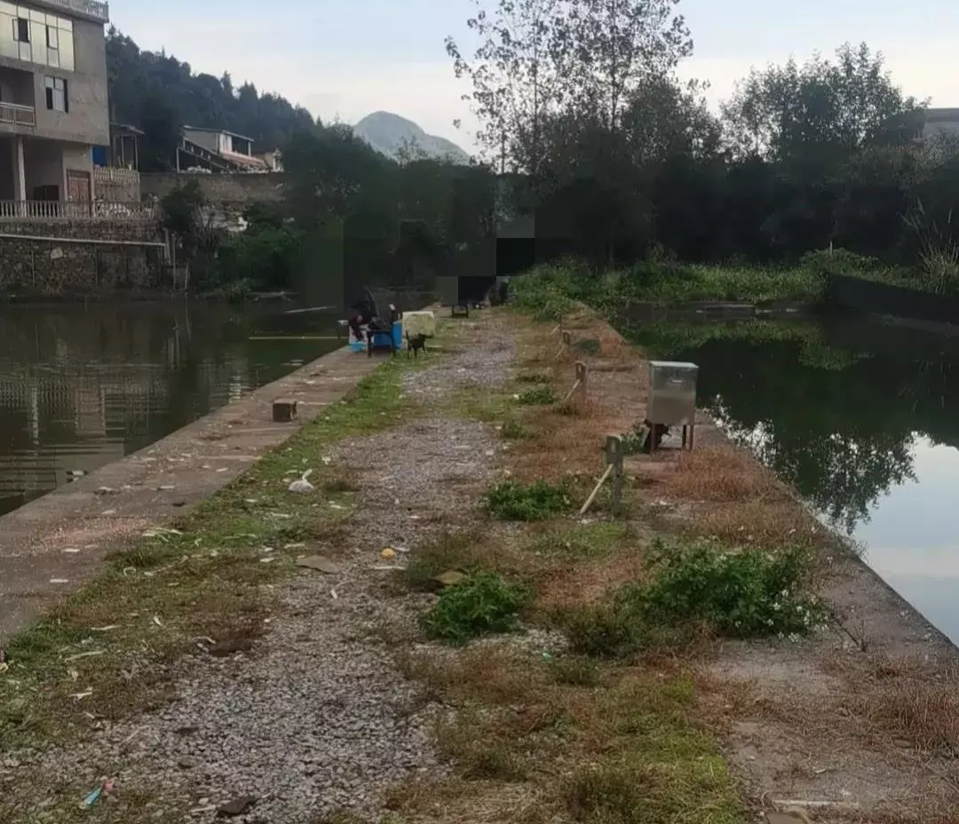 象棋野路子与正规棋的区别(2)