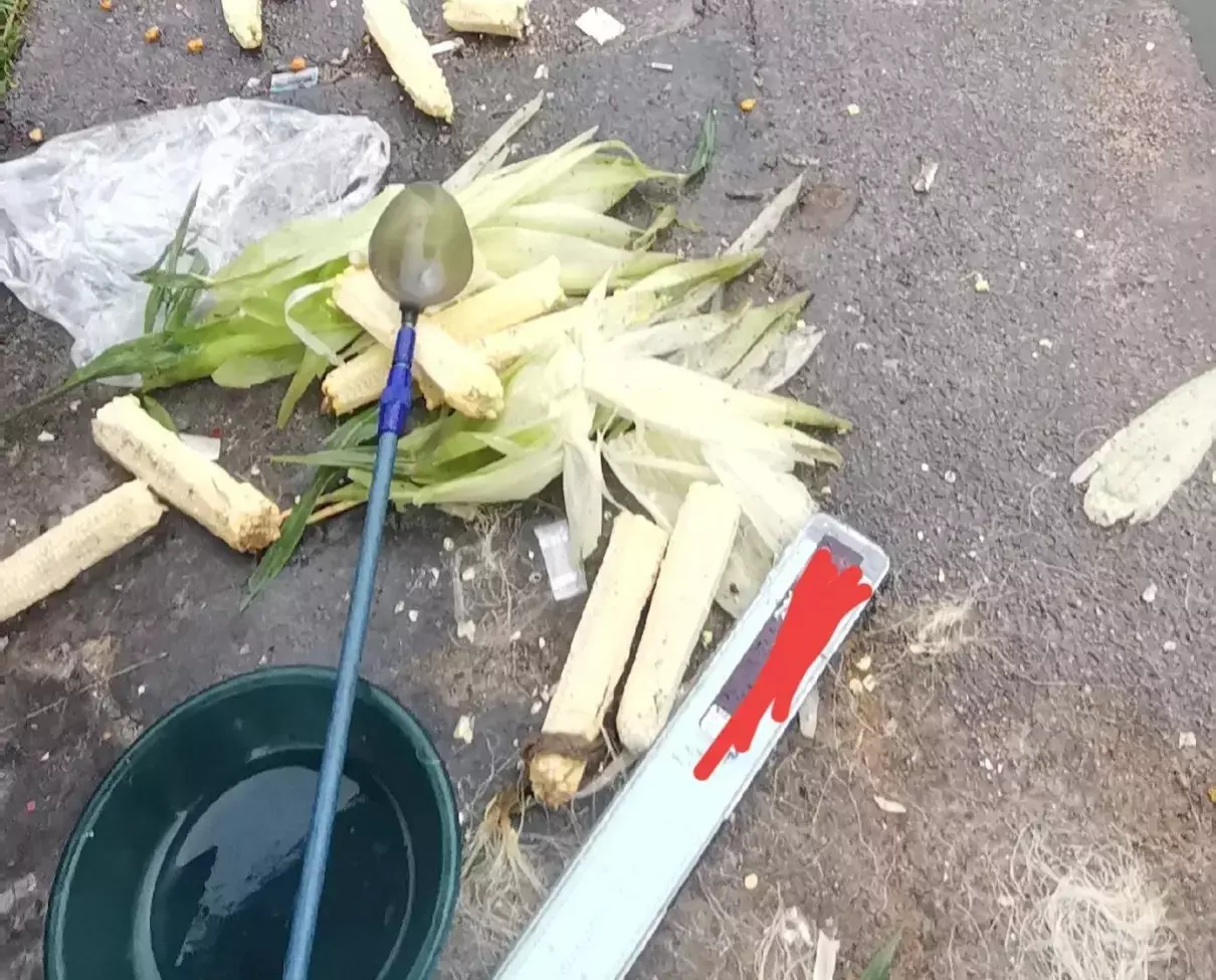 象棋野路子与正规棋的区别(3)