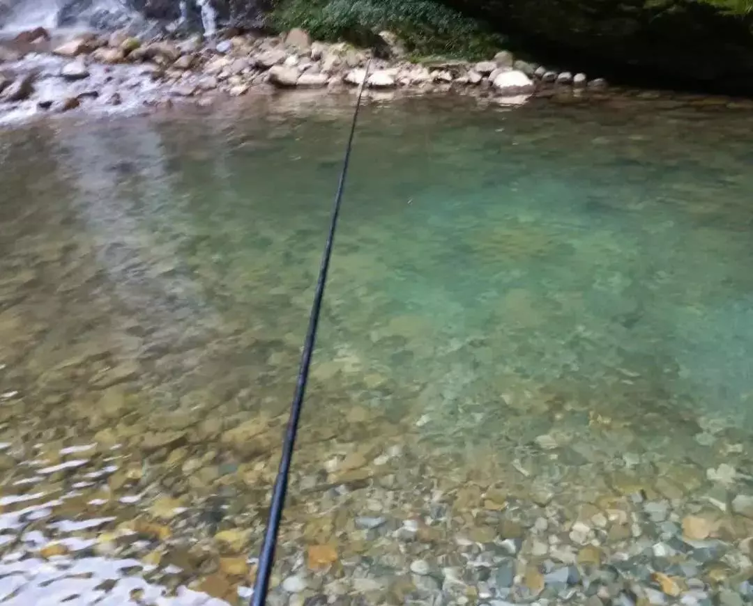 象棋野路子与正规棋的区别(4)