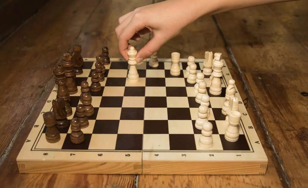 爷爷教我下象棋的作文怎么写(2)