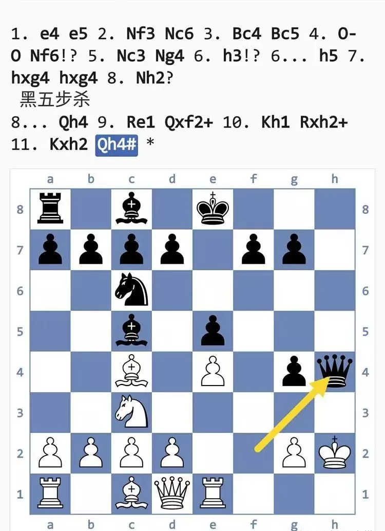 国际象棋开局的15个陷阱图解(40)