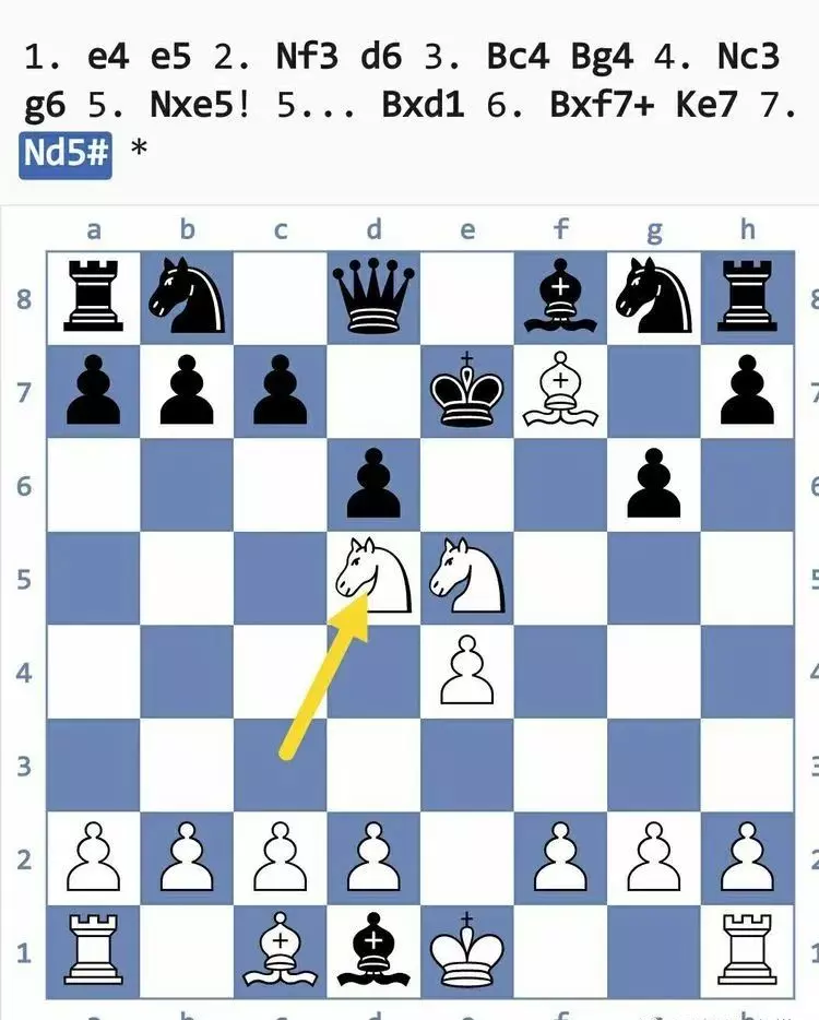 国际象棋开局的15个陷阱图解(6)