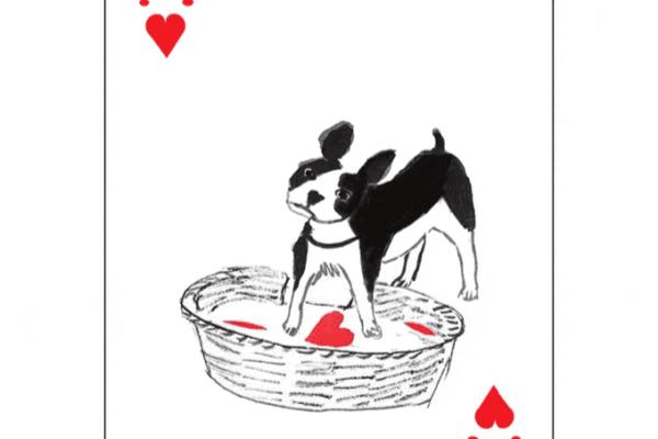 斗地主最大的牌是2还是3