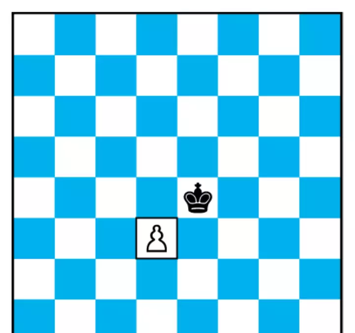 国际象棋玩法入门图解大全(13)