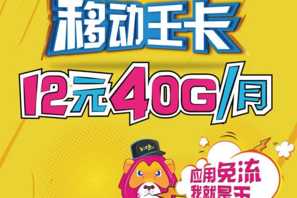 移动王卡每天1元1gb超出1gb怎么算.