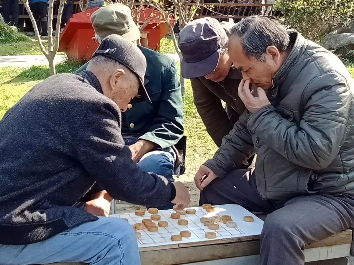 中国象棋的英文单词怎么写(4)