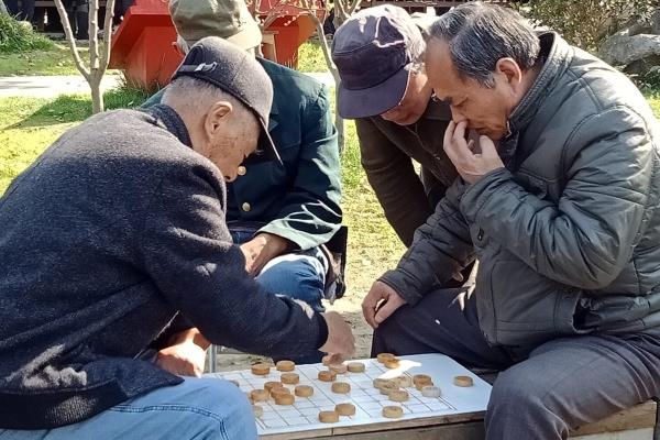 中国象棋的英文单词怎么写.
