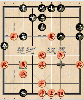 张申宏赢得最漂亮的一盘棋(3)