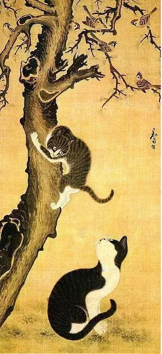 麻雀的英文名(5)