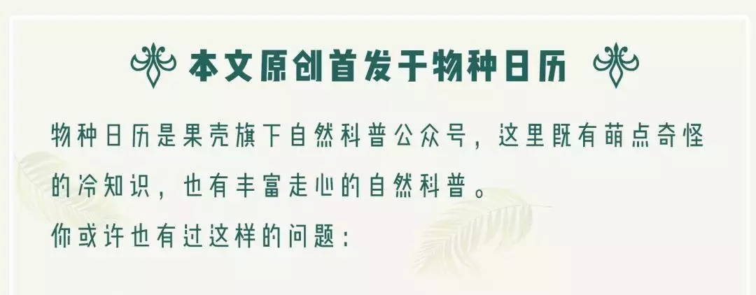 麻雀的英文名(8)