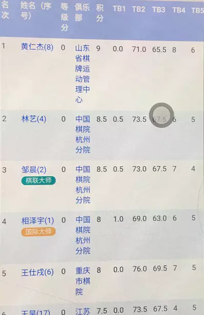 王昊象棋是什么水平(2)