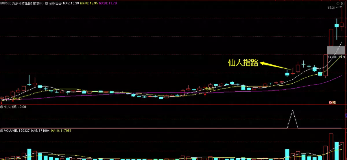 仙人指路图的最新资讯(1)