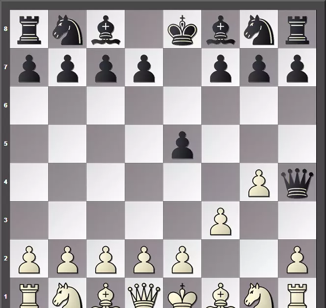 国际象棋第一步怎么走最好(4)