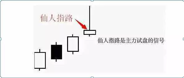 仙人指路k线一般是指日线还是周线(1)