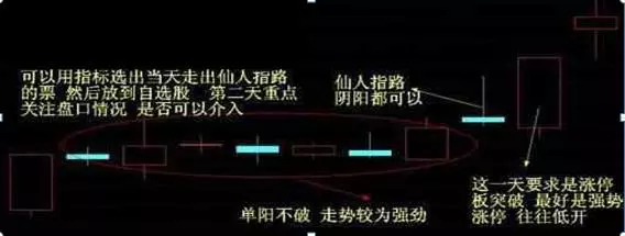 仙人指路k线一般是指日线还是周线(2)