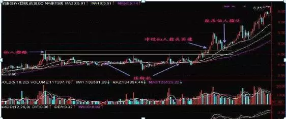 仙人指路k线一般是指日线还是周线(4)
