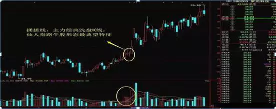 仙人指路k线一般是指日线还是周线(6)