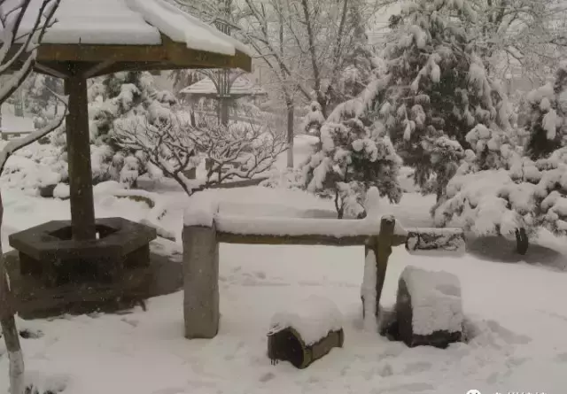 中国象棋战术与杀法的关系(1)