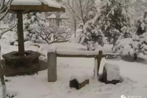 中国象棋战术与杀法的关系