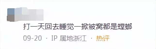 the shy仙人指路秀的是谁(4)