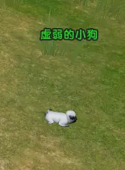 剑网3虚弱的小狗任务(1)