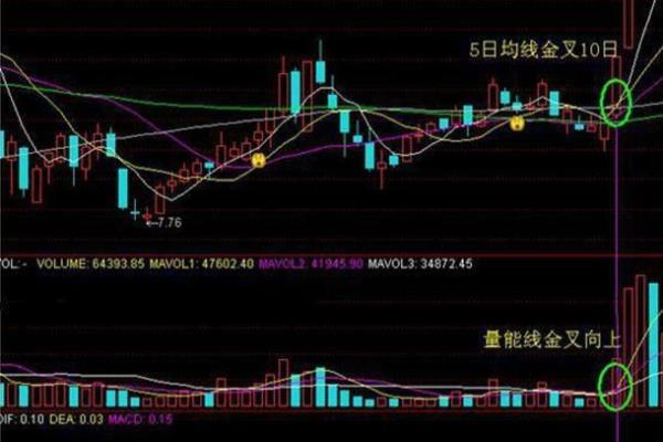仙人指路led55w的灯多少钱.