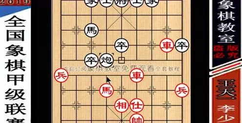 陈拙象棋水平怎么样(4)