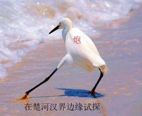 象棋中的兵过了河可不可以左右走(3)