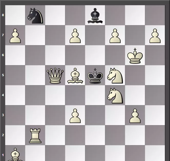 国际象棋里面的将军怎么说(4)