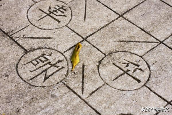 学走象棋小学生日记大全