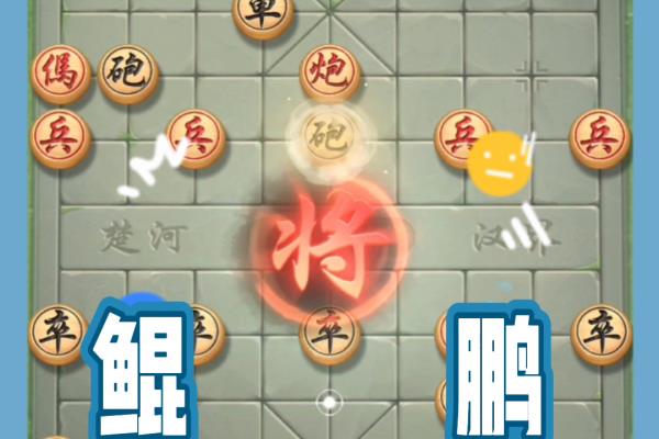 象棋夺命十三招是什么.