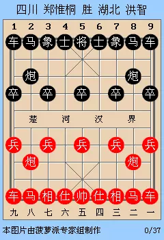 广东碧桂园象棋队主教练是什么职位(12)