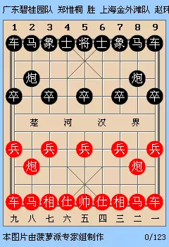 广东碧桂园象棋队主教练是什么职位(9)