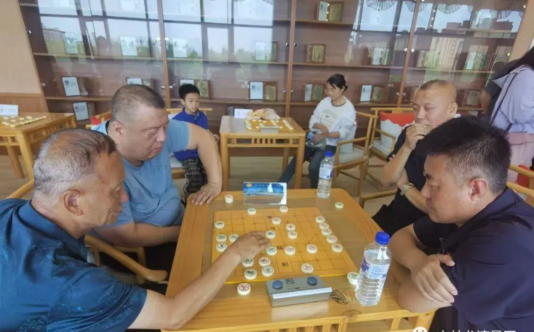 辉南象棋公开赛排名(13)